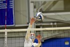 Women’s VB intersquad  Women’s Volleyball inter-squad match. : Women’s Volleyball, VB, inter squad, intersquad